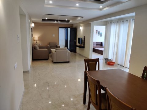 layout